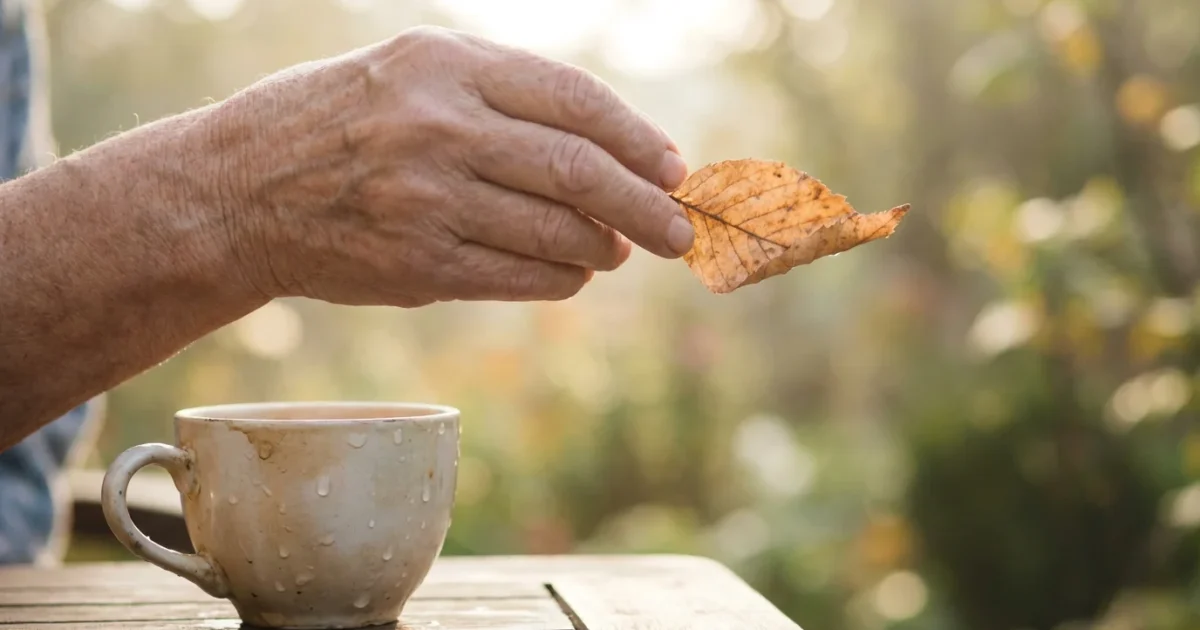 The Art of Letting Go: Dealing with Loss in Retirement - guide