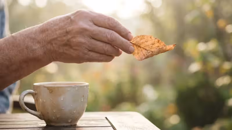 The Art of Letting Go: Dealing with Loss in Retirement - guide