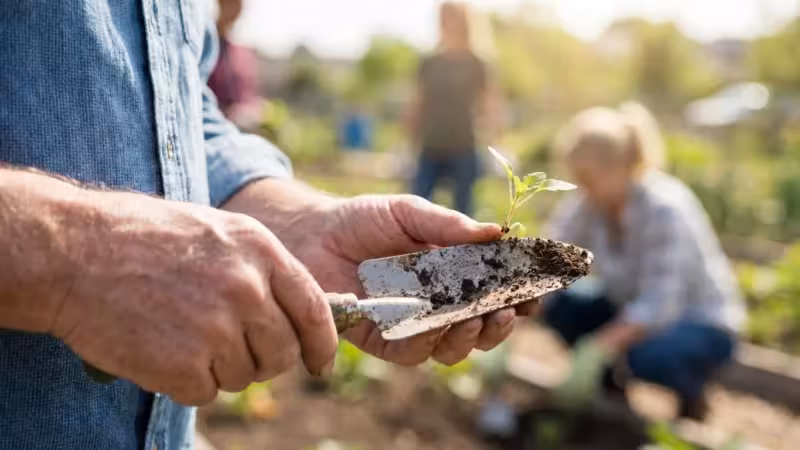 Travel with a Purpose: Volunteer Vacations for Retirees - guide